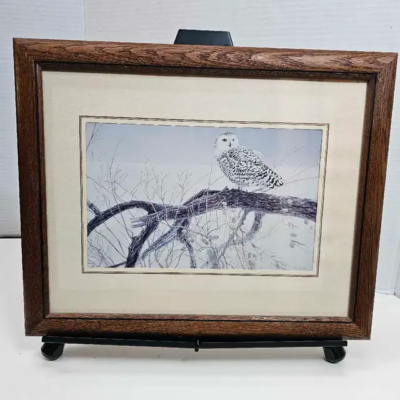 Framed Robert Bateman Print picture #1