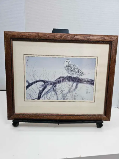 Framed Robert Bateman Print picture #1