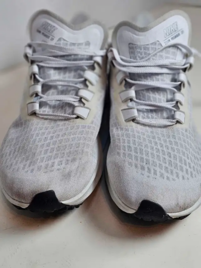 Nike Zoom Pegasus 37 picture #1