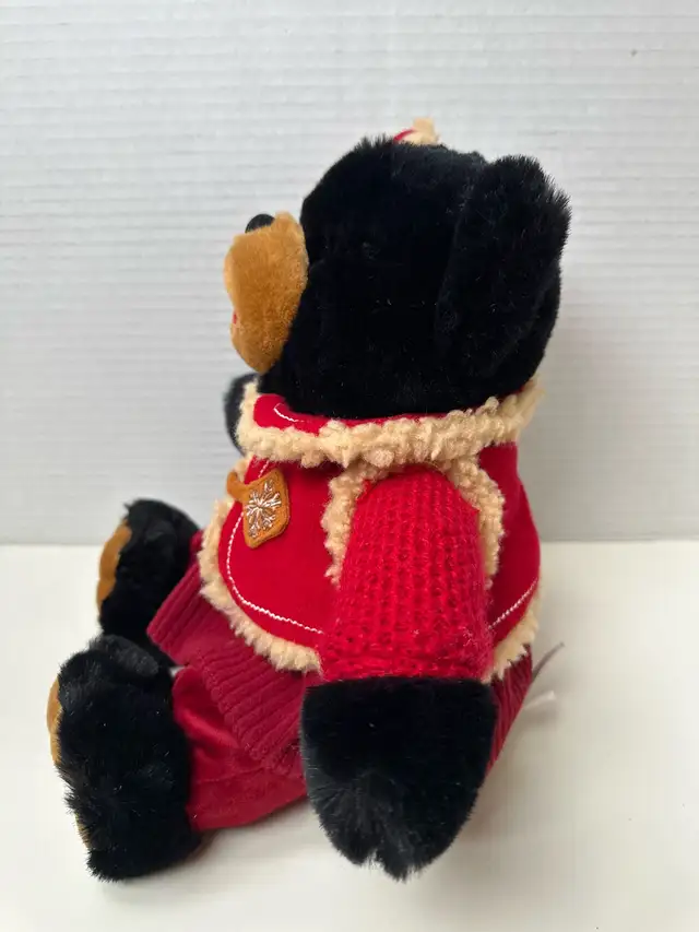 2006 Zuvvo Bear picture #2