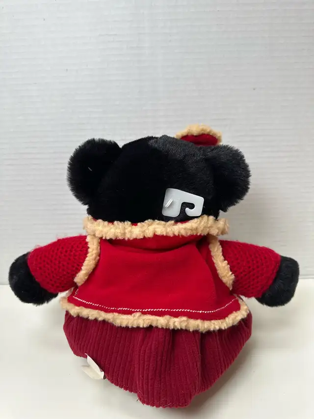 2006 Zuvvo Bear picture #3