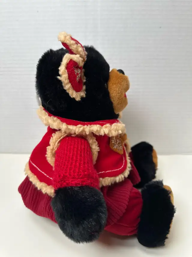 2006 Zuvvo Bear picture #4