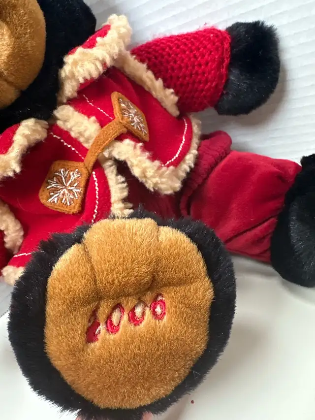 2006 Zuvvo Bear picture #6