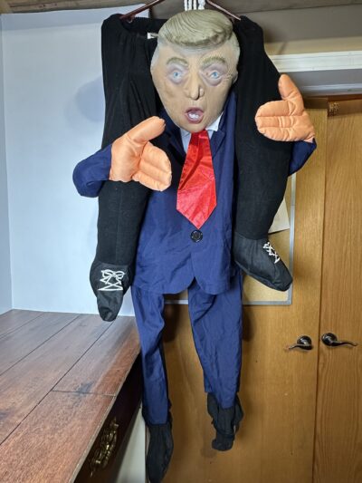 Morph Costumes Adult Carry Me Costume - One Size - product image 1