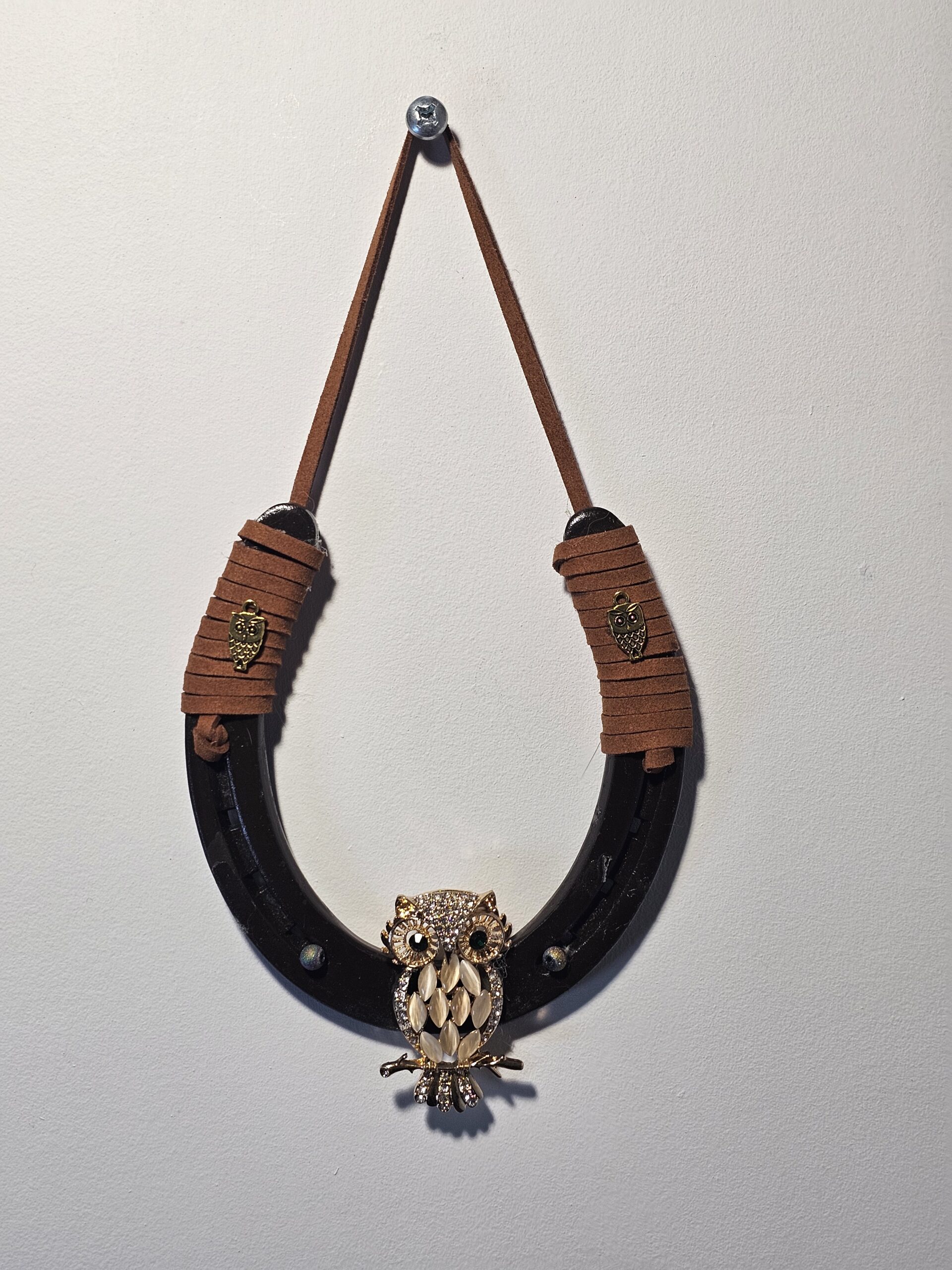 Decorative Horseshoe Wall Hanging with Owl Design - product image 1