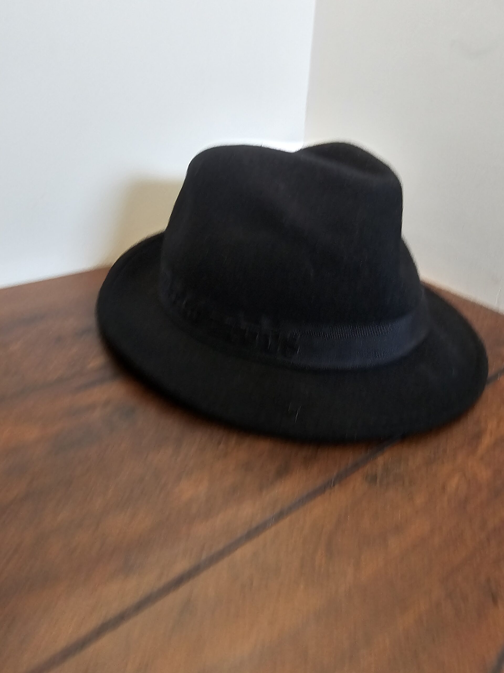 Dorfman Pacific DPC Black Fedora Hat with House of Blues Band - product image 1